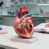 Mapping the Heart’s Blueprint: A New Era in Cardiac Research