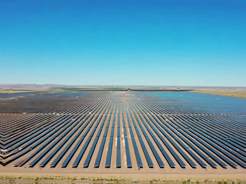 Amazon's Polish Power Play Signals European Cloud Expansion - Professional coverage