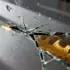 The 20-Year Overnight Success: Reddit’s Billionaire CEO and What It Means